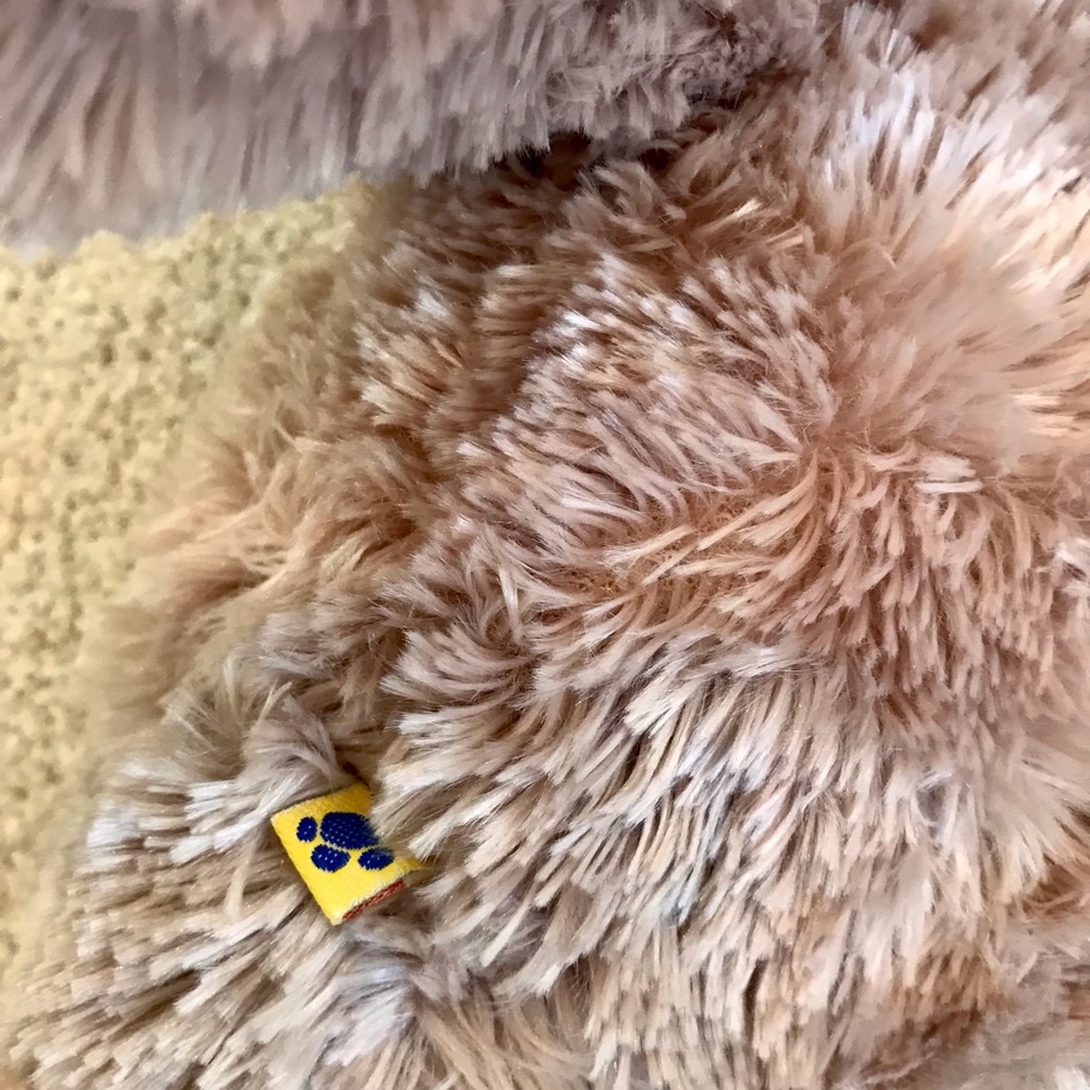 Build A Bear Bunny - Picture 5 of 7